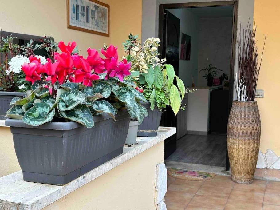 Domus Acquedotto Apartman Róma Kültér fotó